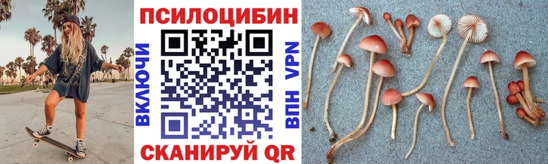 Галлюциногенные грибы ЛСД  Купить где  Орск 